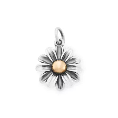 JamesAvery_CM-6208-285203.webp