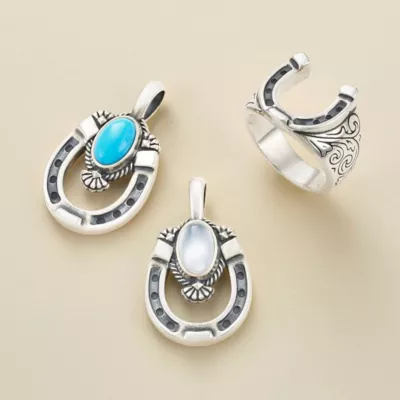 JamesAvery_WesternHorseshoe_col.webp